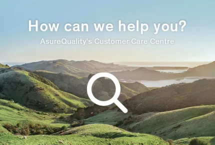 Customer Care 1256x650px 