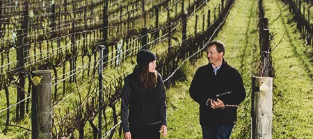 organic certification wine