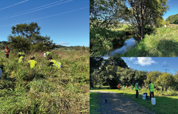 CVNZ AQ Papakura Stream March 630x400