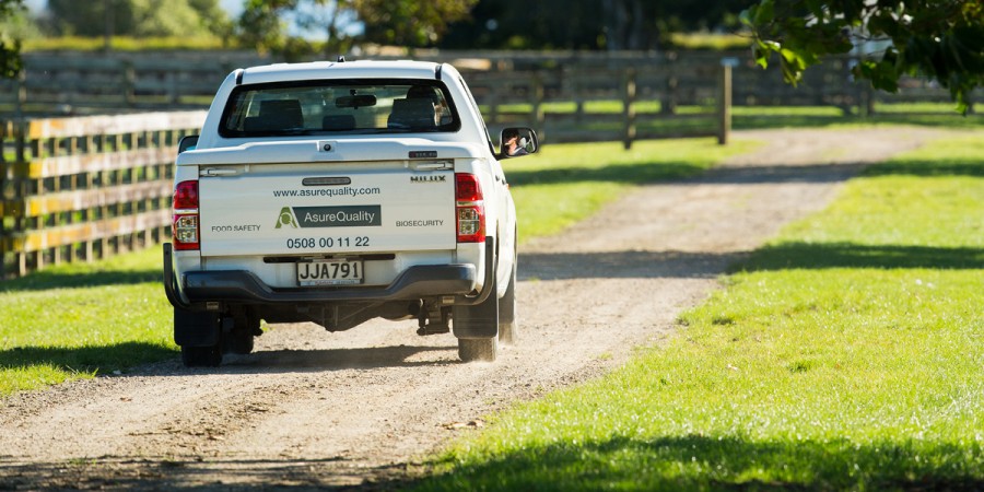 news vehicle