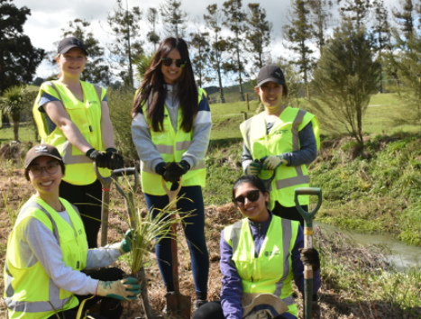 CNZ Stream Planting 1420x600px