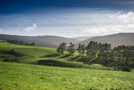 Grass Fed 1256x650px