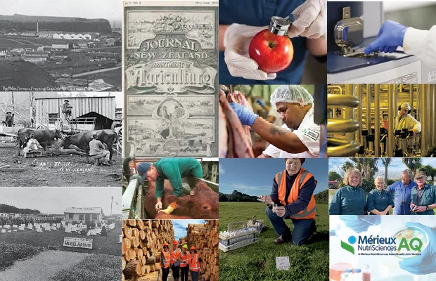 HomePage Feature Image 1256x650px