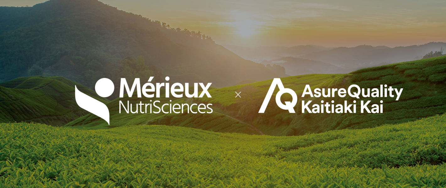 MNAZ banner 1420x600px