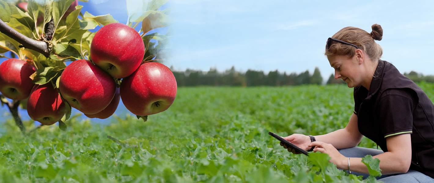 NZGAP appointment 1420x600px