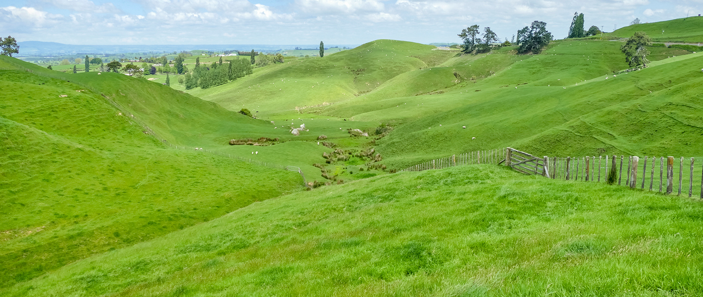 Sustainable Farms 1420x600px