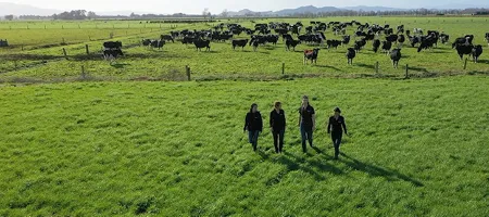 MA articles 450x200px