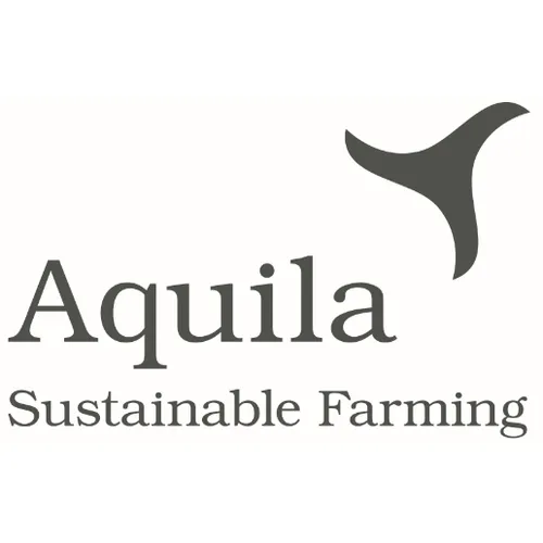 Aquila Resized