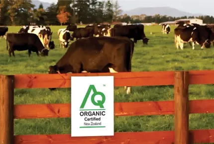 organic certified Dairy